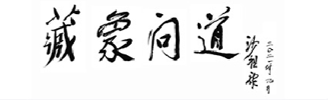 藏象問道